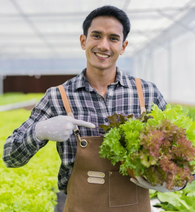 ss-661-specification-clean-green-urban-farms-img.jpg ss-661-specification-clean-green-urban-farms