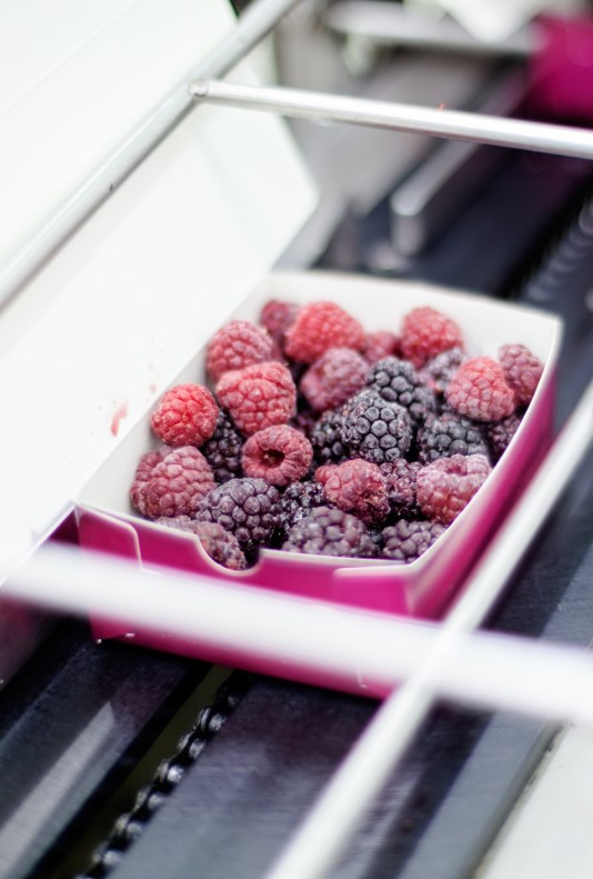 ss-668-cold-chain-management-chilled-frozen-foods-training-img.jpg ss-668-cold-chain-management-chilled-frozen-foods