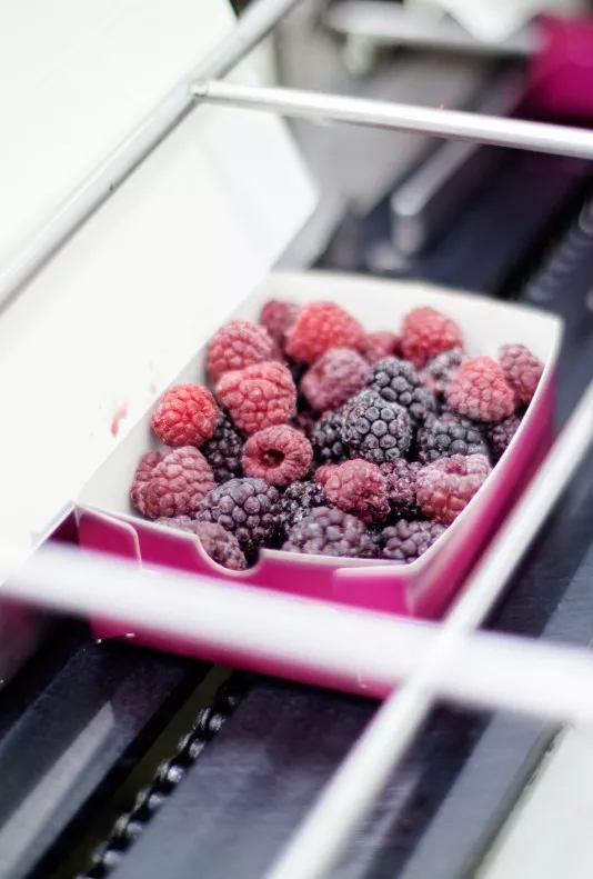 ss-668-cold-chain-management-chilled-frozen-foods