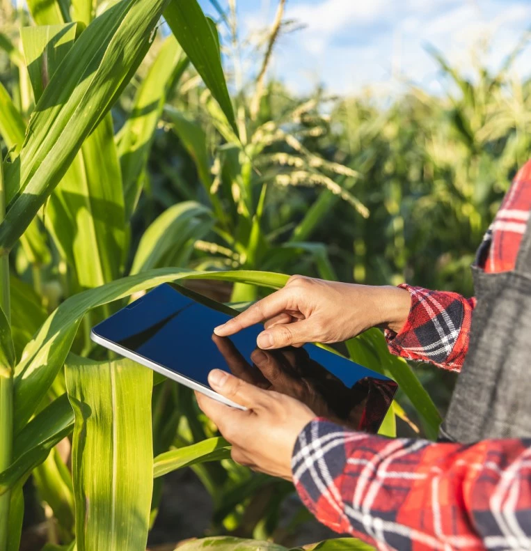 ss-675-specification-good-agriculture-practice-img.jpg ss-675-specification-good-agriculture-practice