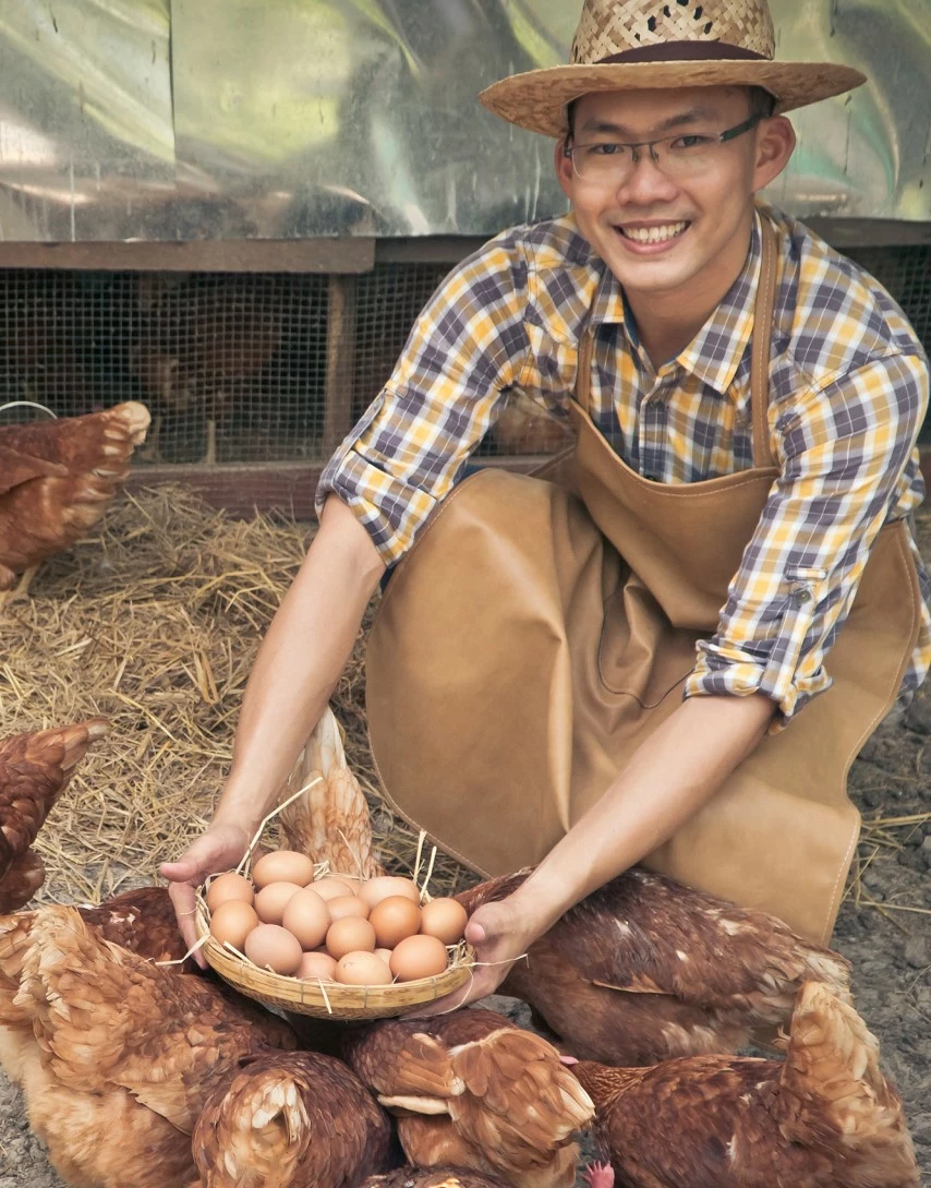 ss-676-specification-animal-husbandry-layer-farms
