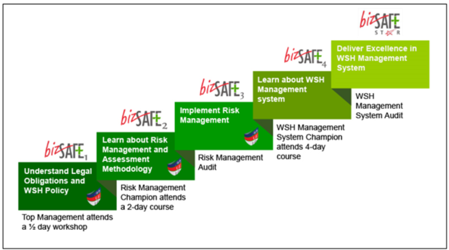 auditing-organisations-risk-management